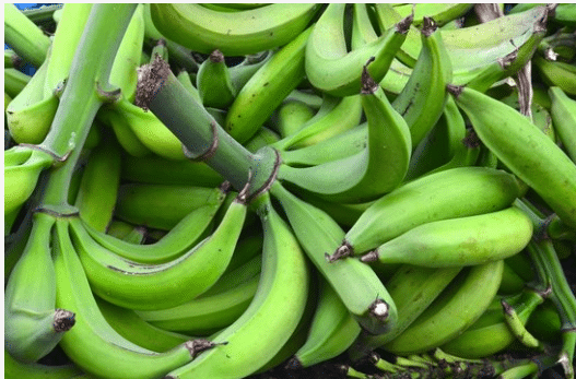 Unripe plaintain