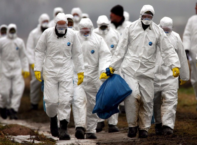 Do tej pory ludzie mogli się nim zarazić wyłącznie przez kontakt z zarażonym ptakiem lub jedząc jego mięso