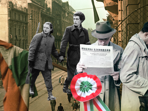 Értelmiségiek, ápolók és munkások - nők az 1956-os forradalom felkelői között