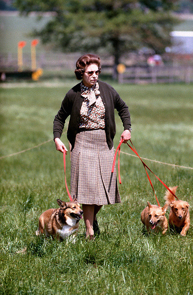 17 maja 1980 r. — królowa i jej psy