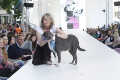 Była królową polskiej reklamy, zrezygnowała z kariery. Katarzyna Butowtt powraca na szklany ekran