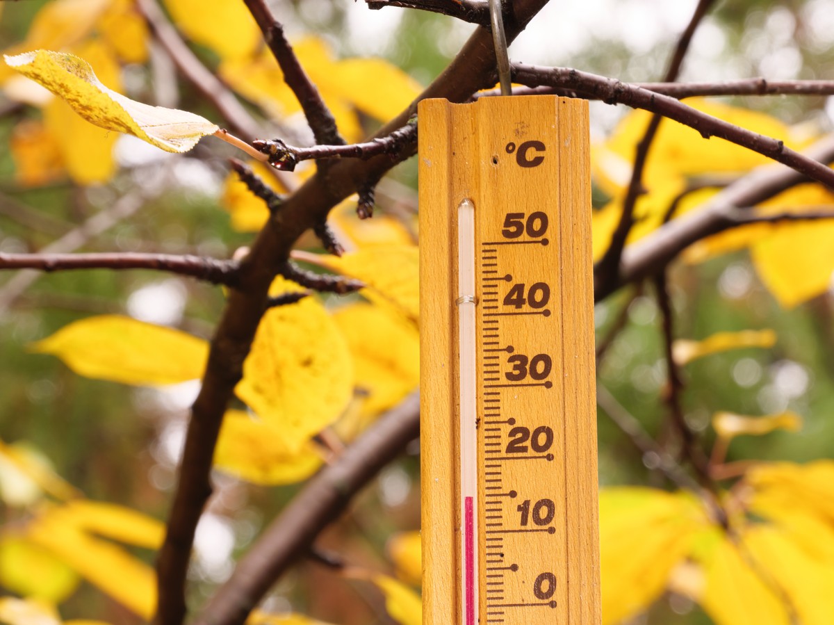 Temperatury w górę! Prognoza pogody na czwartek, 30 października