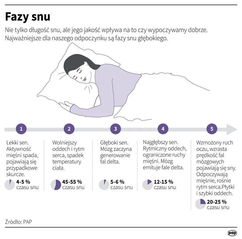 Fazy snu - infografika
