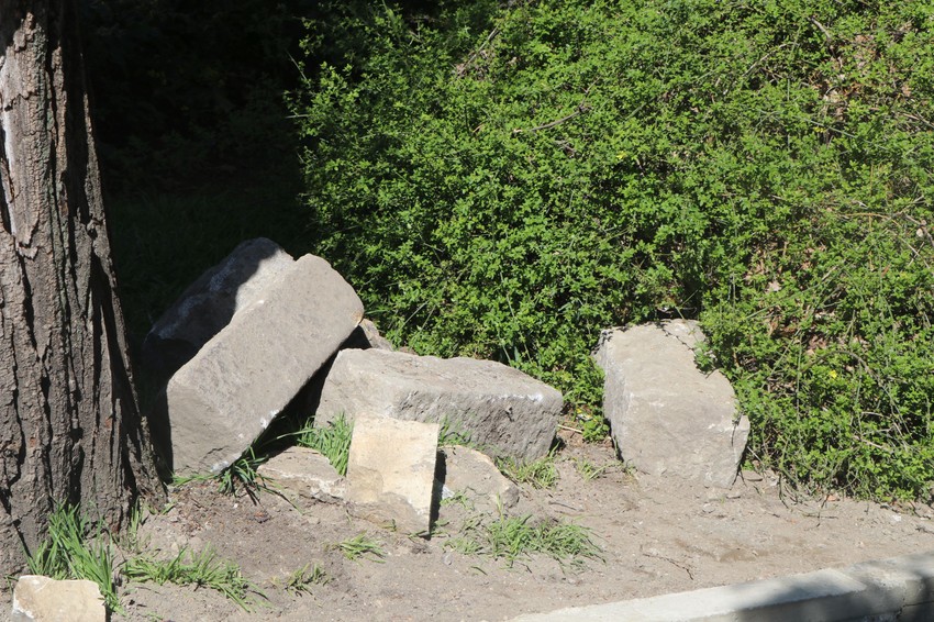 Ploče u Dunavskom parku