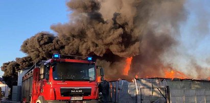 Potężny pożar zakładu meblarskiego pod Świebodzinem. Dym widać z odległości 50 kilometrów 