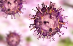 Wirus zaatakował pierwszy raz od 1988 roku. Jest przy granicy z Polską