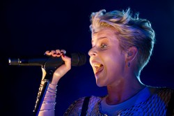 Robyn uhonorowana – będzie miała swojego... robota