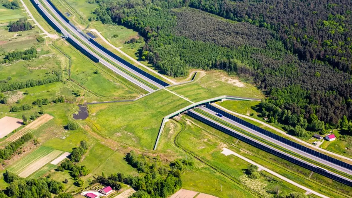 Przejście dla zwierząt. Autostrada A4