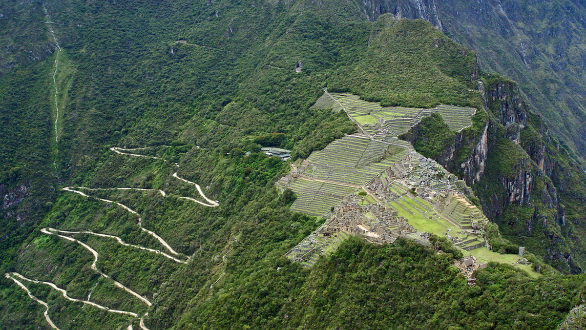 Pierwsze tarasy uprawne rekonstruowane w kompleksie archeologicznym Machu Picchu w Andach Peruwiańskich będzie można zwiedzać już od czerwca 2011 r. - poinformował dyrektor parku archeologicznego Machu Picchu Fernando Astete Victoria.