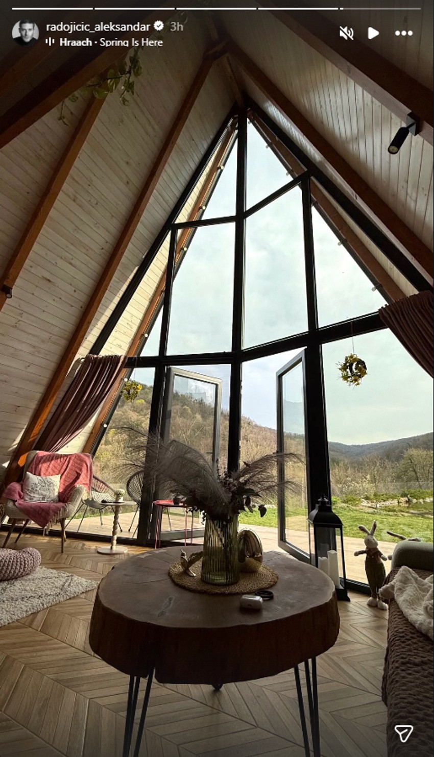 Aleksandar Radojičić, objava