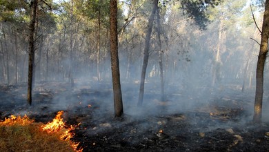 Od nowego roku kara do 30 tys. zł m.in. za palenie tytoniu w miejscach niewyznaczonych