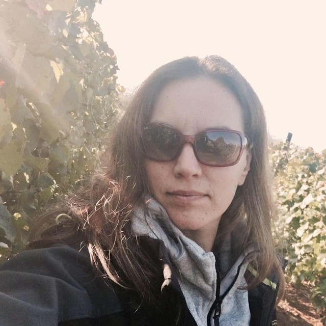Jelena Bajić Jočić