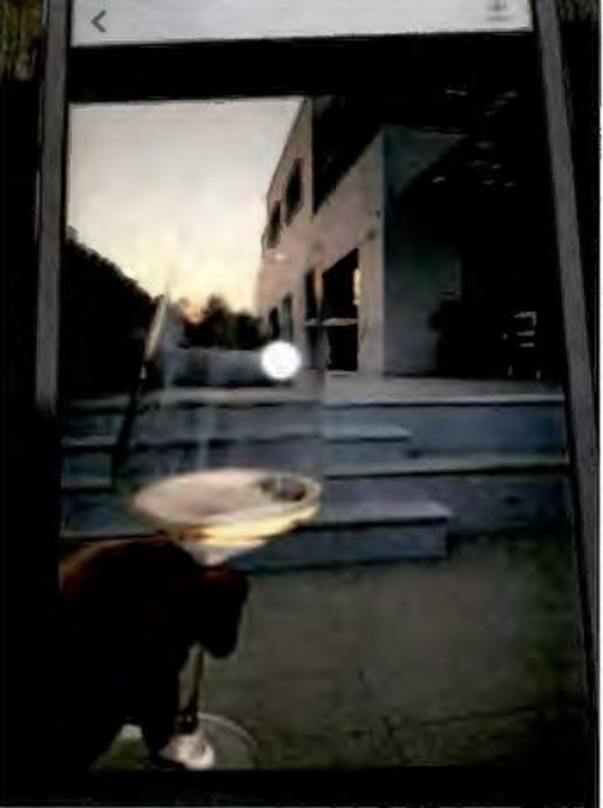 Fotografija Alana Kožara koju je poslao Žikoviću iz vile u kojoj je boravio: Zabranjeno preuzimanje fotografije bez dozvole redakcije "Blic"