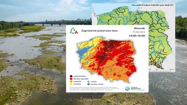 Upały w Polsce. Ekstremalne zagrożenie pożarami i niski poziom rzek. Prognozy wzbudzają niepokój [MAPY]