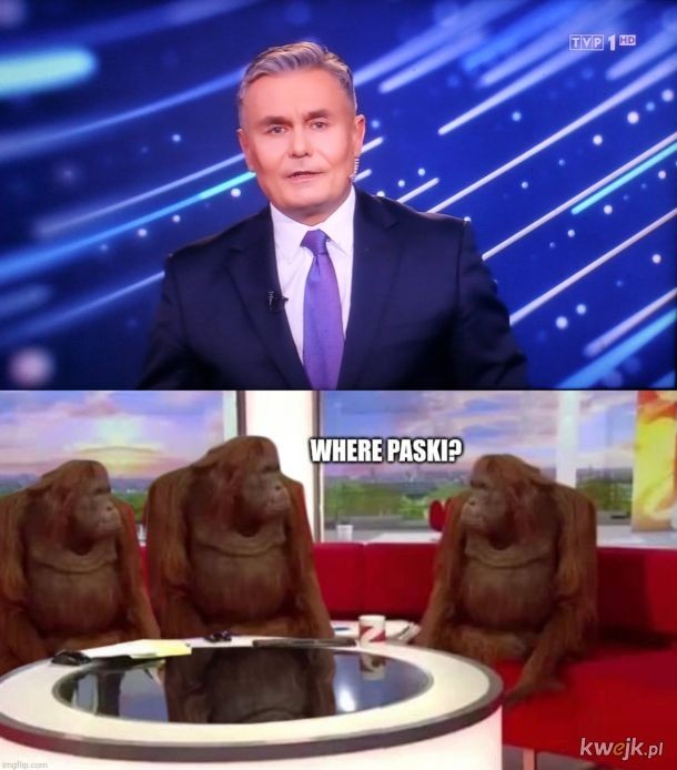 Memy o nowym programie TVP 