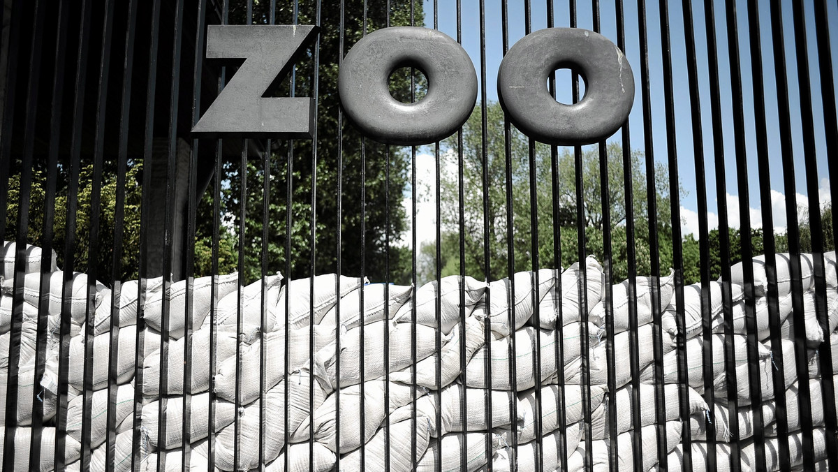 Warszawa: w zoo zmarł nosorożec Jung
