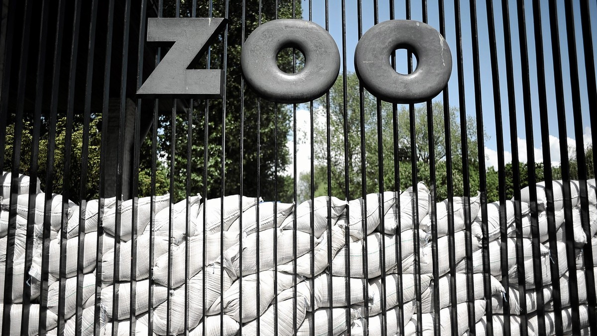 Warszawa: w zoo zmarł nosorożec Jung