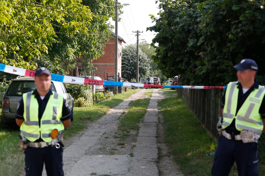 Dečak (14) uhapšen je nakon što je upucao brata (12) u glavu