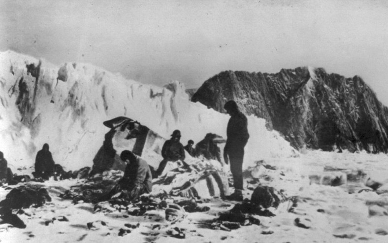Członkowie załogi Shackletona oczekujący na ratunek na Wyspie Słoniowej