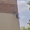 Bacanje građevinskog šuta sa zgrade u Novom Sadu