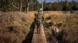 obce wojska utopią się w polskich bagnach. mon finalizuje plan