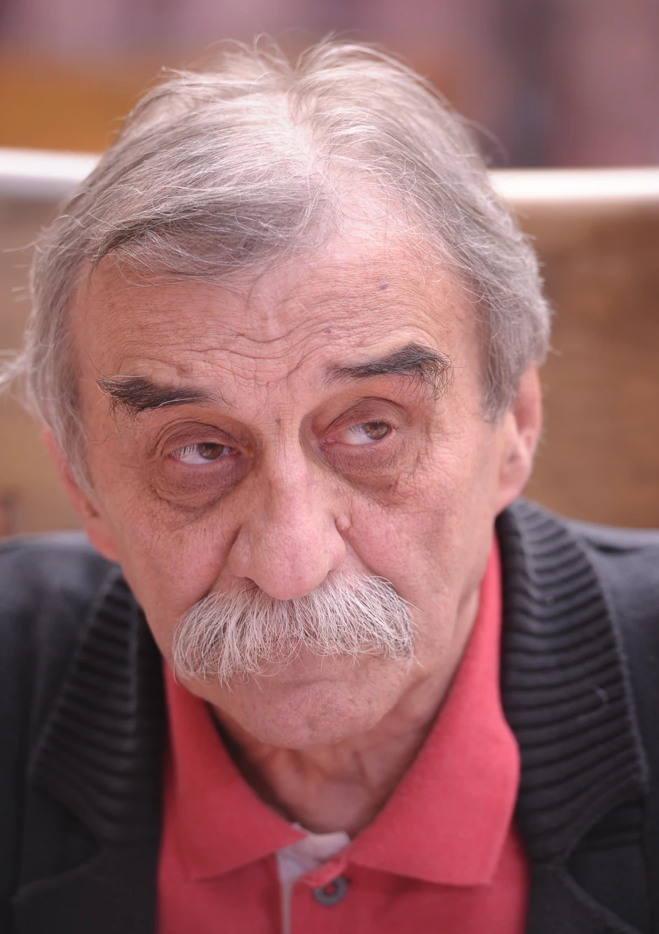 Ljubiša Ristić