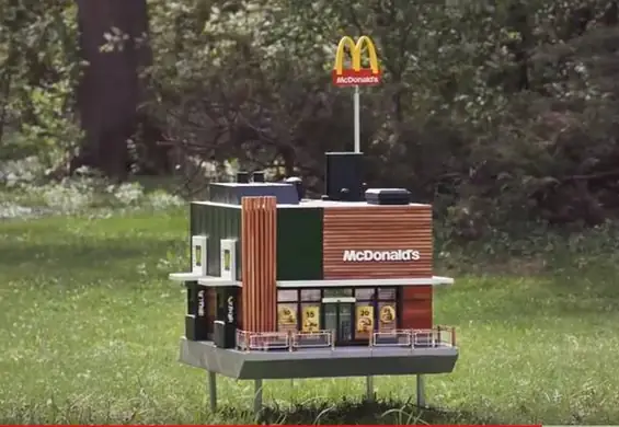 Otwarto najmniejszy McDonald's na świecie. Jego gośćmi są pszczoły