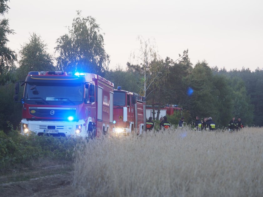 Potężny pożar wysypiska w Łódzkiem. Na miejscu kilkudziesięciu strażaków