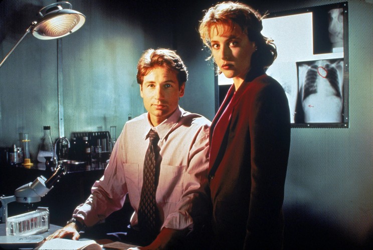 'Z Archiwum X': David Duchovny, Gillian Anderson