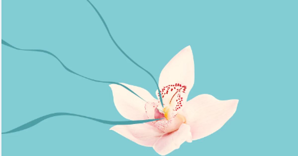 7 interesting facts you never knew about your clitoris - Vimarsana News