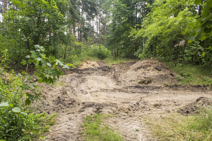 W Nowym Zoo w Poznaniu powstanie wybieg dla wilków