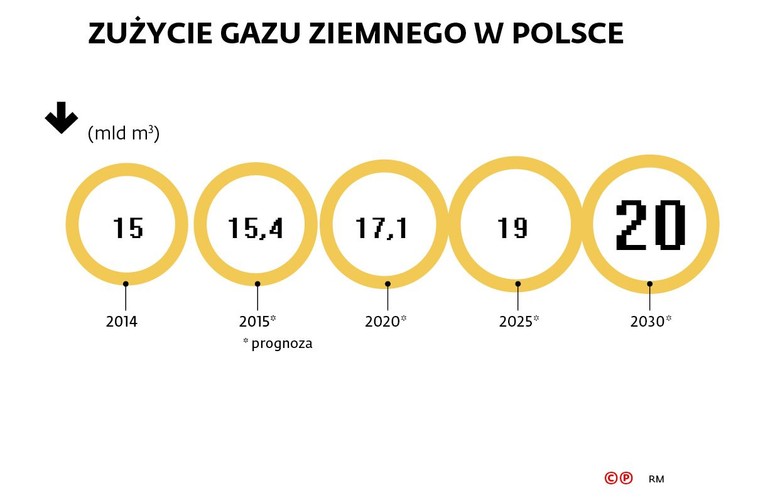 <b>III 2011</b> <br>
Premier Donald Tusk wmurował kamień węgielny pod gazoport – oficjalnie rozpoczyna się budowa. Politycy PiS proponują, aby gazoport nazwać imieniem prezydenta Lecha Kaczyńskiego. Przypominają, że to właśnie on jako pierwszy polityk, jeszcze w trakcie kampanii wyborczej w 2005 r., mówił o konieczności zbudowania terminalu LNG. <br><br> 
<b>X 2012</b> <br>
Gaz-System podpisuje z Europejskim Bankiem Odbudowy i Rozwoju umowę na kredyt w wysokości 300 mln zł na finansowanie budowy terminalu LNG w Świnoujściu – uzupełnienie dotychczasowego finansowania ze środków własnych i funduszy unijnych – łącznie budowa kosztowała ok. 3 mld zł. <br><br>

<b>III 2013</b> <br>
Minister skarbu państwa Mikołaj Budzanowski zapewnia w Sejmie, że mimo „drobnych opóźnień” inwestycja zostanie zakończona w terminie, a w drugiej połowie 2014 r. terminal przyjmie pierwsze dostawy LNG. <br><br>

<b>IX 2013</b> <br>
W związku z kryzysem w branży budowlanej Polskie LNG podpisuje aneks do umowy z konsorcjum wykonawców. Zgodnie z porozumieniem terminal ma być gotowy do końca 2014 r.