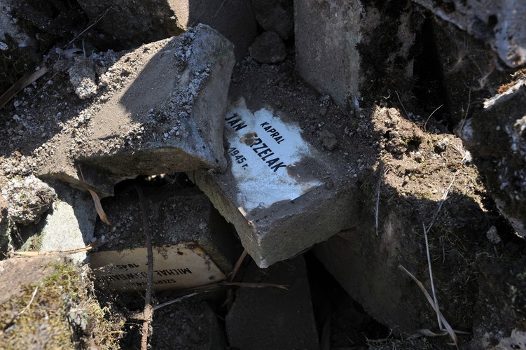 Odsłonięte brzegi Odry