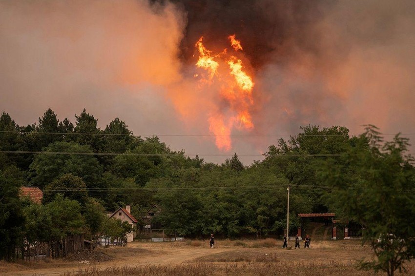BBC | Foto: Reuters/Marko Đurica