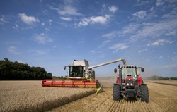 Portugalia: od 15 lat dynamicznie rośnie obszar upraw ekologicznych