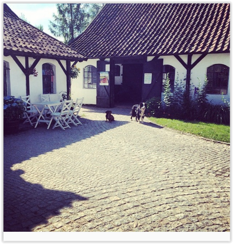 Tak mieszka Piotr Kraśko