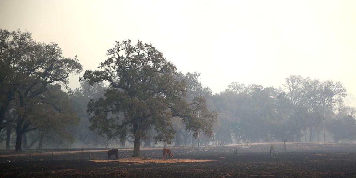 The fire ravaging parts of California wine country threatens the region’s $1 billion agriculture industry