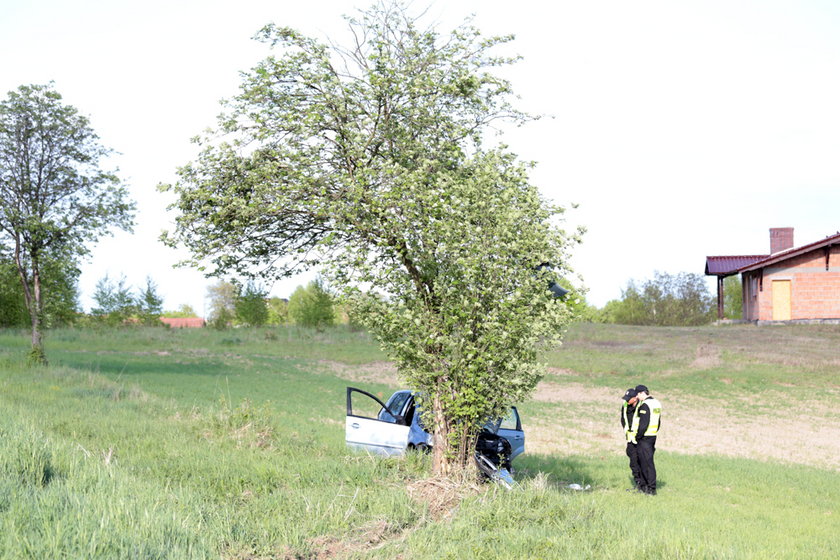 Wypadek po Zieloną Górą, części auta na drzewie
