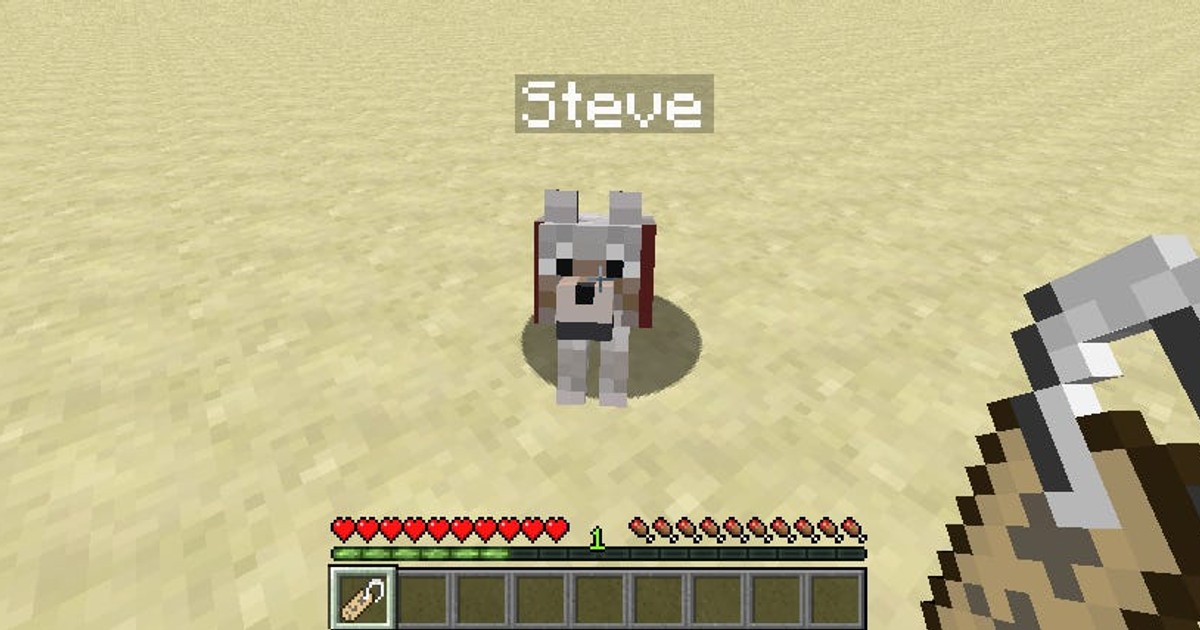 How to use a Name Tag in 'Minecraft' to customize your favorite NPCs