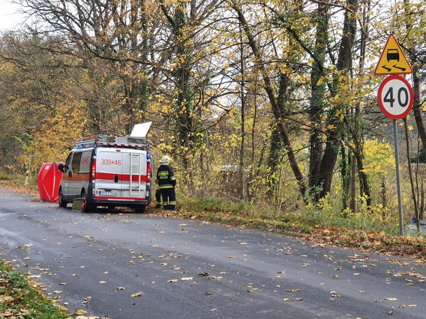 Tragedia koło Opola. Z audi została miazga