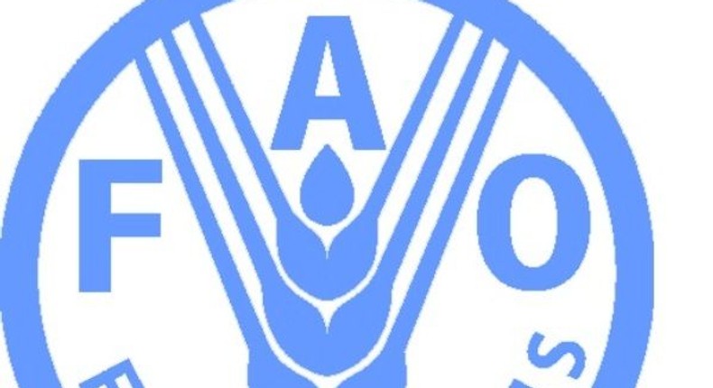 Food and Agriculture Organization (FAO)