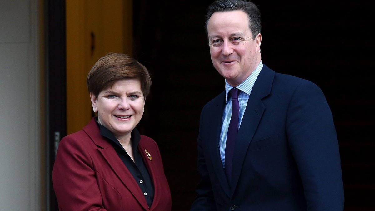 Beata Szydło, David Cameron