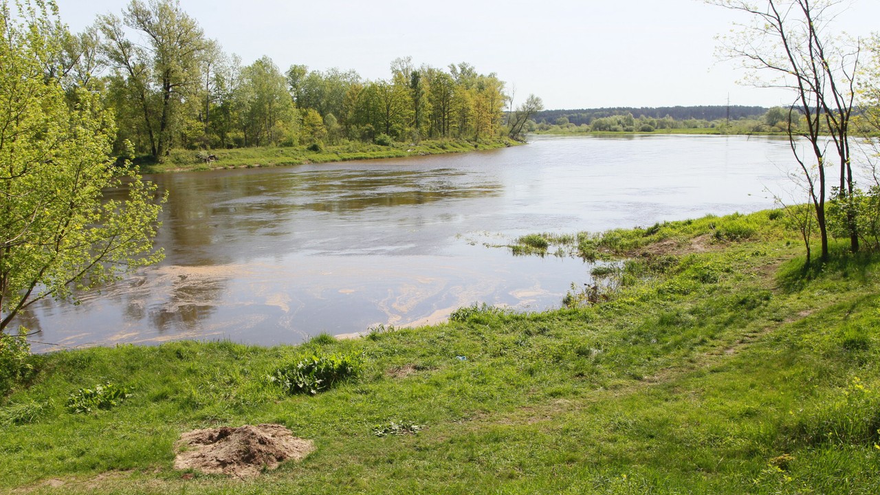 Zwłoki mężczyzny wyłowione z Bugu. Służby wyjaśniają okoliczności zgonu