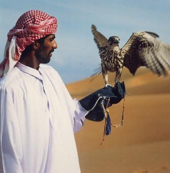 Galeria Zjednoczone Emiraty Arabskie - Dubaj, obrazek 29