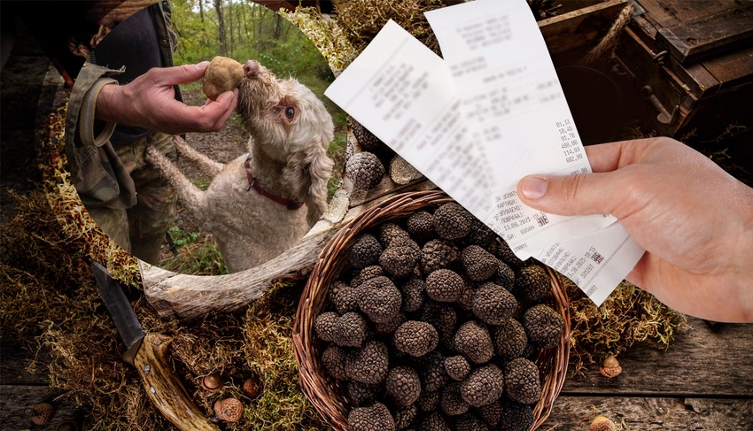 Legalizacija prodaje tartufa