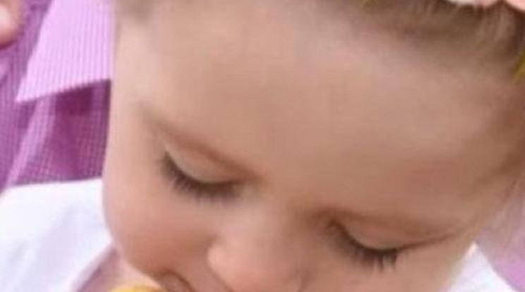 Félelmetes! Óriási pitont tart a kétéves kislány 