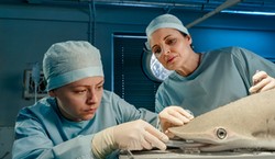 Uwielbiany serial wraca na antenę. Nowe odcinki dziś i jutro