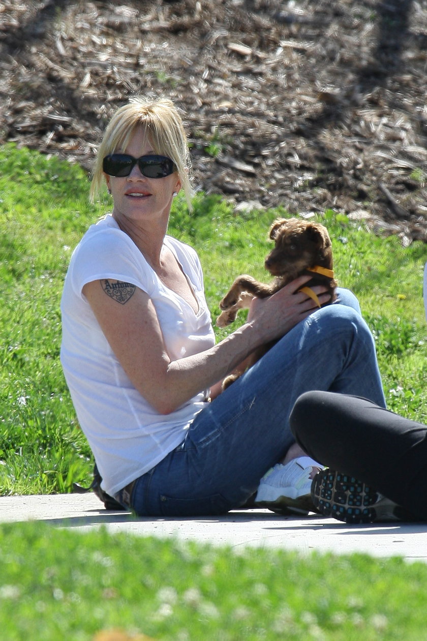 Melanie Griffith na pikniku z psem