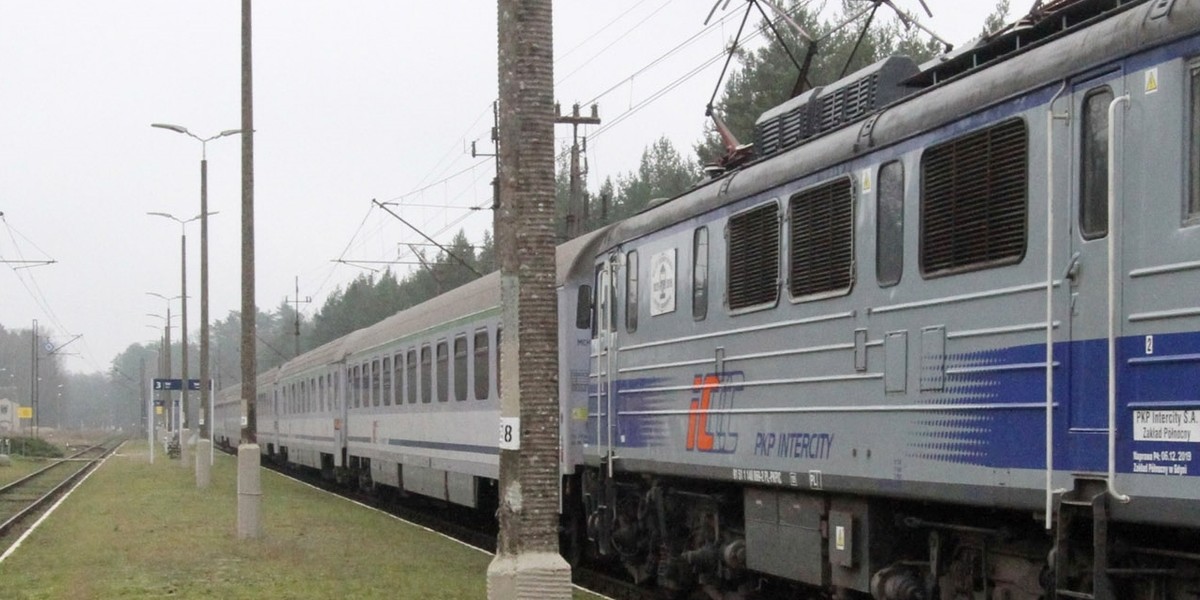 Pociąg PKP Intercity zderzył się z łosiem. Trzeba było ewakuować pasażerów (zdjęcie ilustracyjne).