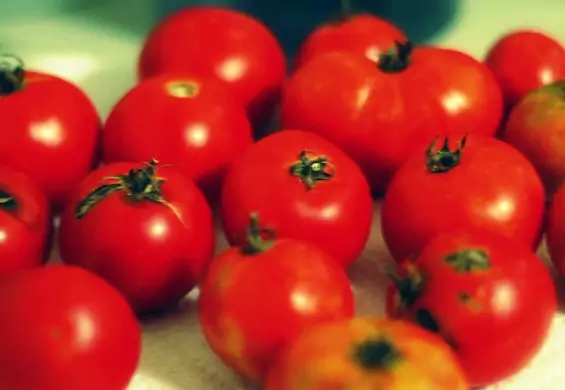 Czy zepsuty pomidor może być źródłem energii? Według naukowców można zasilać nimi nawet lunaparki